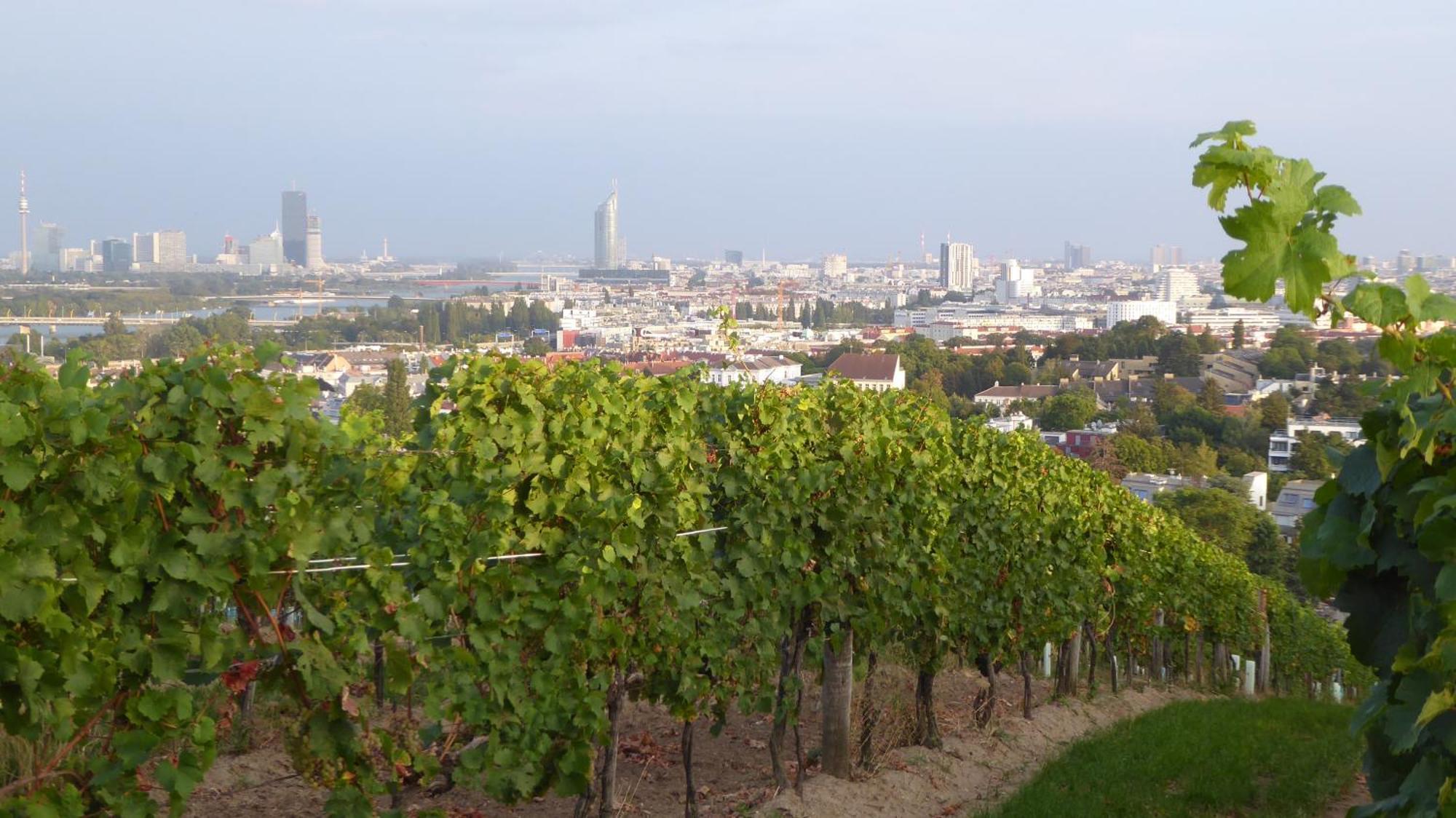 Wohnen Im Schoensten Viertel Wiens Zewnętrze zdjęcie